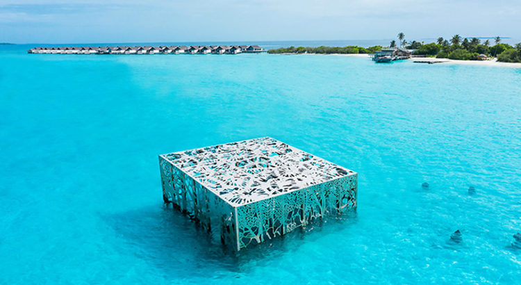 fairmont sirru fen fushi coralarium foto fairmont Hotels